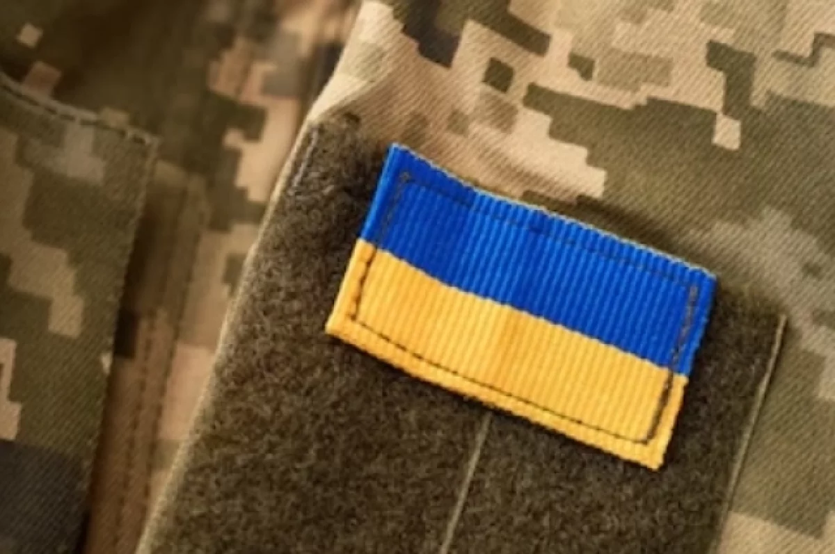 Рогов: выходцы из украинского шоу-бизнеса идут в ВСУ за «славой на смертях»