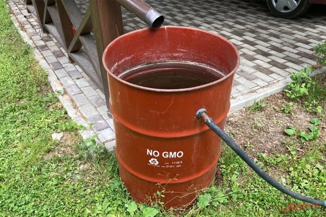 Достаточно обычной бочки под водосточной трубой.