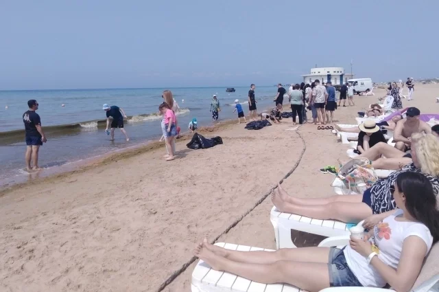 Места под солнцем на побережье хватает всем. 