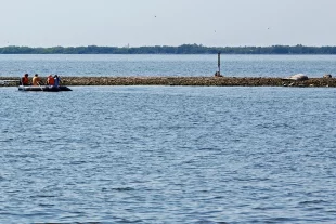 Вид на остров на Рыбинском водохранилище, Ярославская область.