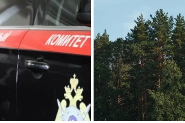 В Кировской области предъявили обвинение жестоко убившему школьника 14-летнему подростку