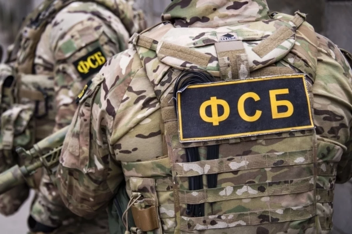 Силовики нейтрализовали в Подмосковье двух граждан, планировавших теракт