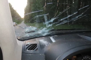 Дробь попала в корпус и стёкла автомобиля.