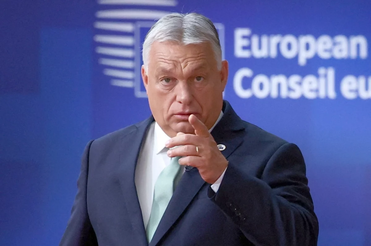 95% против Украины в ЕС. Венгрия не хочет видеть Зеленского в Европе