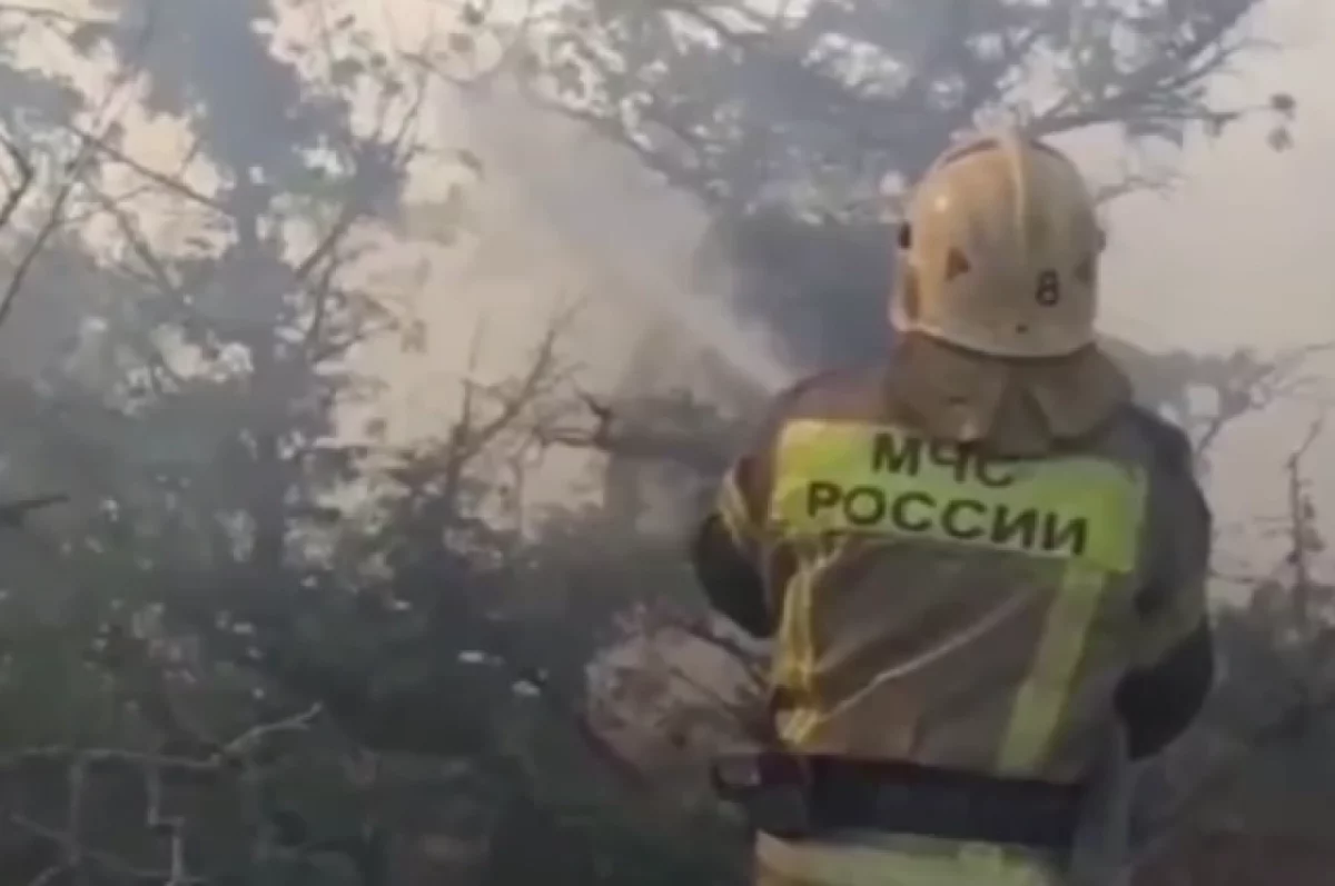 Самый крупный пожар в Забайкалье локализовали на площади 220 тыс. гектаров