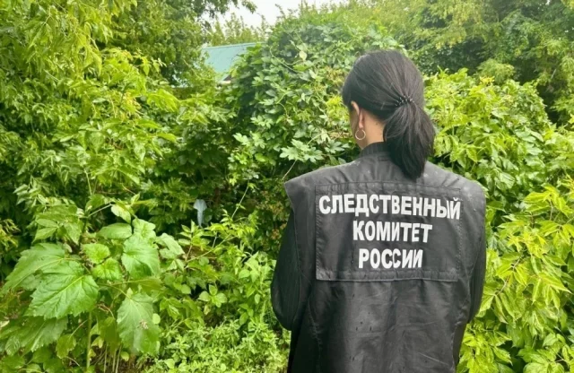 Трагедия произошла в рабочем поселке Ровное.