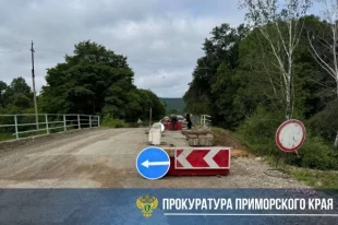 Сегодня эксперты приступят к обследованию разрушенного моста