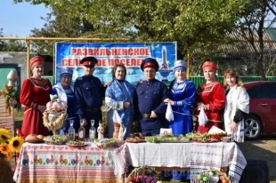 Совет муниципальных образований ТОС в пос. Дальнее Поле. Небольшому селу Развильному есть что показать соседям.
