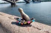 Новый бронзовый символ города – суслик-речник на набережной – тоже получил яркую обновку на свою лодочку. 