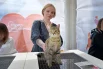 Кошки и собаки из московских приютов ждут своих новых и заботливых хозяев.