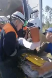 На борту находилось 10 парашютистов и пилот.