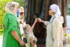 За памятником Петру и Февронии есть заяц, которого можно погладить на удачу.