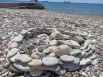 Отдыхающие порой выкладывают из пляжной гальки разные фигуры и капища. 