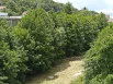 Река Дедеркой. 