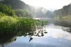 Река Колва.