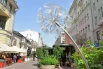 Установили цветочные композиции и на старом Арбате.