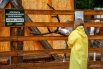 На вольере сбоку крупно написано предупреждение «Я люблю, когда меня гладят по носу, а не по рогам».