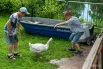 Те, для кого крупные животные – это слегка чересчур, могут поиграть с гусями.