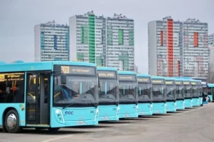 Произведённые в Минске автобусы особо большого класса уже курсируют по улицам Петербурга.