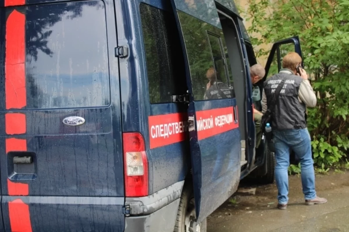 Глава СК поручил усилить поиски пропавшей на Алтае девушки