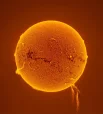7 ноября 2024 года на Солнце произошла мощная вспышка, сопровождавшаяся выбросом вещества на сотни тысяч километров.