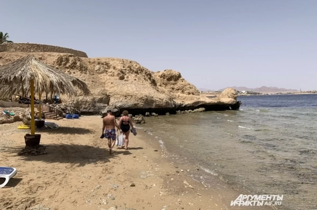 РСТ проверит данные о запрете туристам купаться в море в одном из отелей Египта