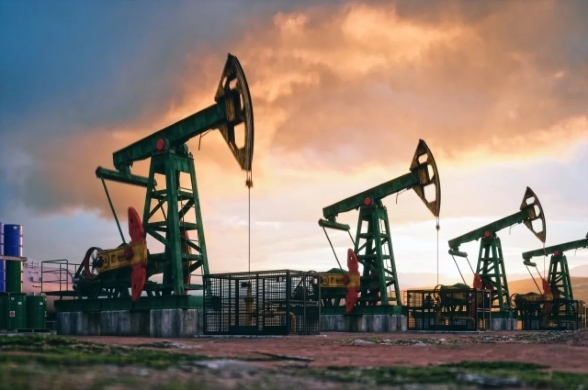Министр Сингх Пури: Индия сумеет заменить нефть из РФ в случае санкций США