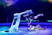 Лучшие номера получат награды: «Золотой», «Серебряный» и «Бронзовый Идол».