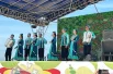 На празднике звучали песни на татарском языке.