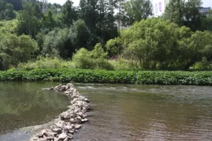 Фанпарк разрабатывает идеологию защиты природы на водоёме.