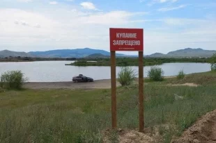 Чаще всего тонут там, где купаться в принципе нельзя.
