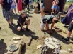 Интерактивные площадки работали для взрослых и детей. 