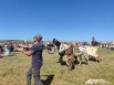 Колесница на открытии фестиваля. 