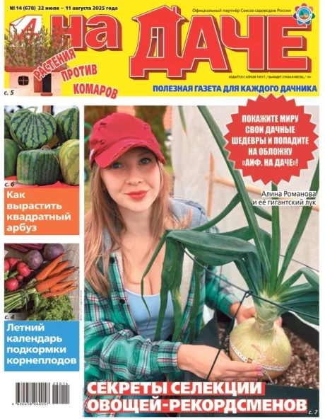 Свежий номер