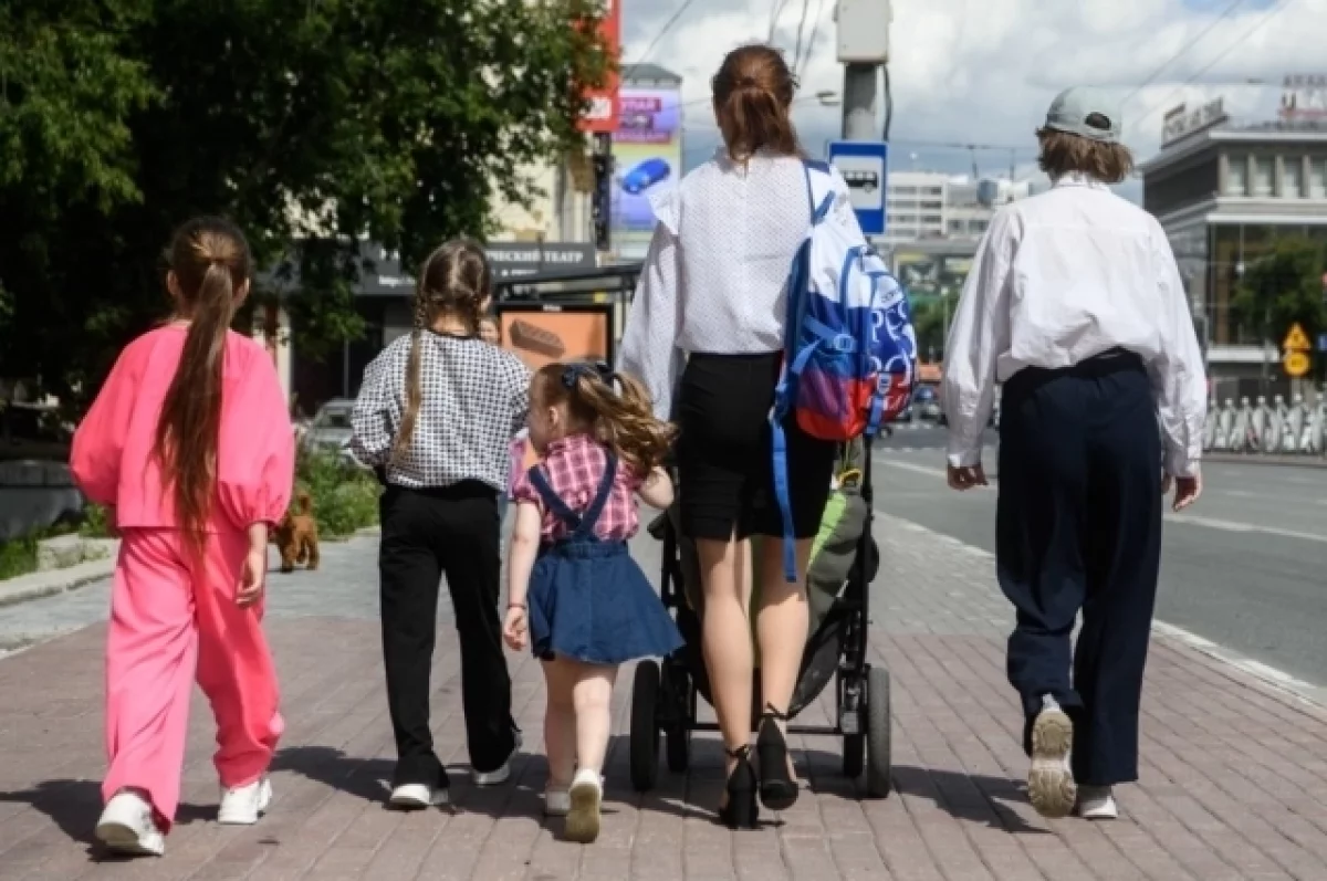 В ГД заявили, что многодетные мамы находятся в приоритете у государства