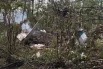 Место крушения Ан-24 в Амурской области.