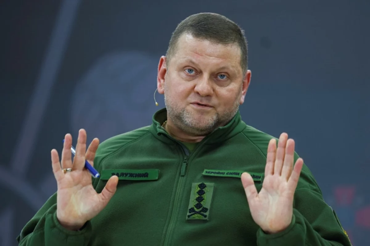Залужный признал отставание Украины от России в освоении военных технологий