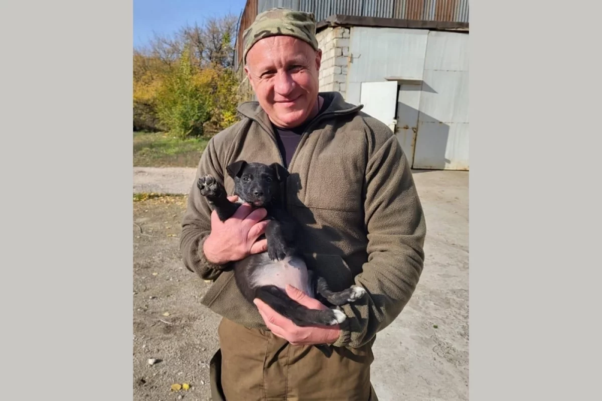 Андрей очень любил животных.