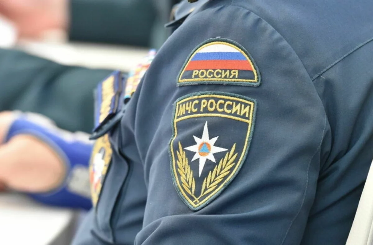 «Земля дрожала под ногами»: Лагерь Русского географического общества на Курилах смыло цунами