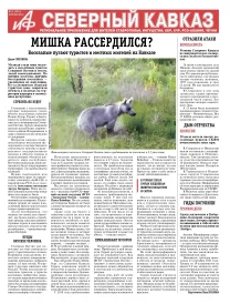 Мишка рассердился?