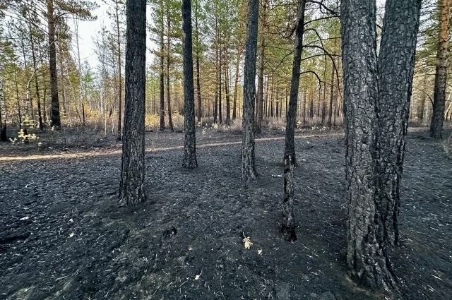 В регионе действует запрет на разведение открытого огня.