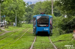 Со слов свидетелей, женщина направлялась от рынка в сторону парковки