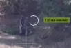 Обнаружение личного состава ВСУ и 120-мм миномёта.