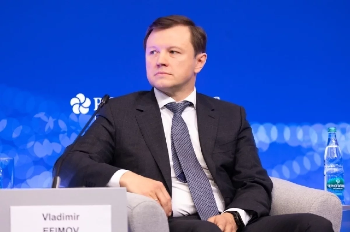 Ефимов: город выделит участок для возведения национального центра «Россия»