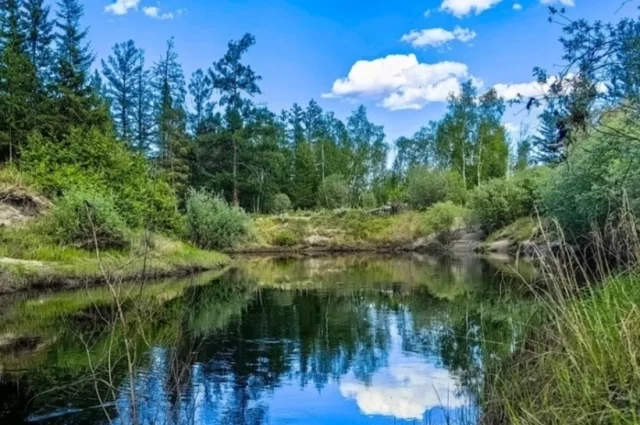В августе температуре будет находиться в пределах климатической нормы.