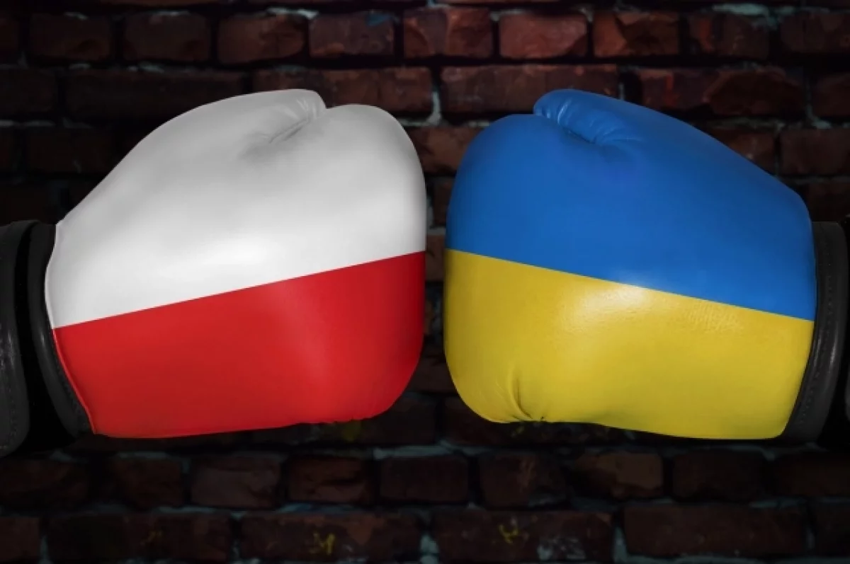 Политолог Межевич объяснил, почему Украина публично рассорилась с Польшей