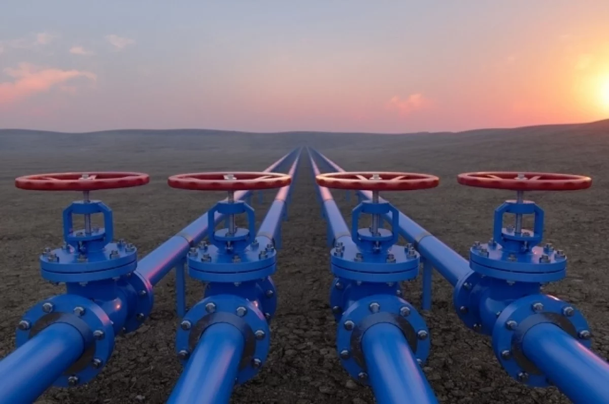 Аналитики предрекли Индии многомиллиардные убытки в случае отказа от нефти из РФ