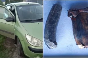 В Усть-Таркском районе Новосибирской области двое мужчин и женщина устроили стрельбу, в результате которой погиб 19-летний парень.