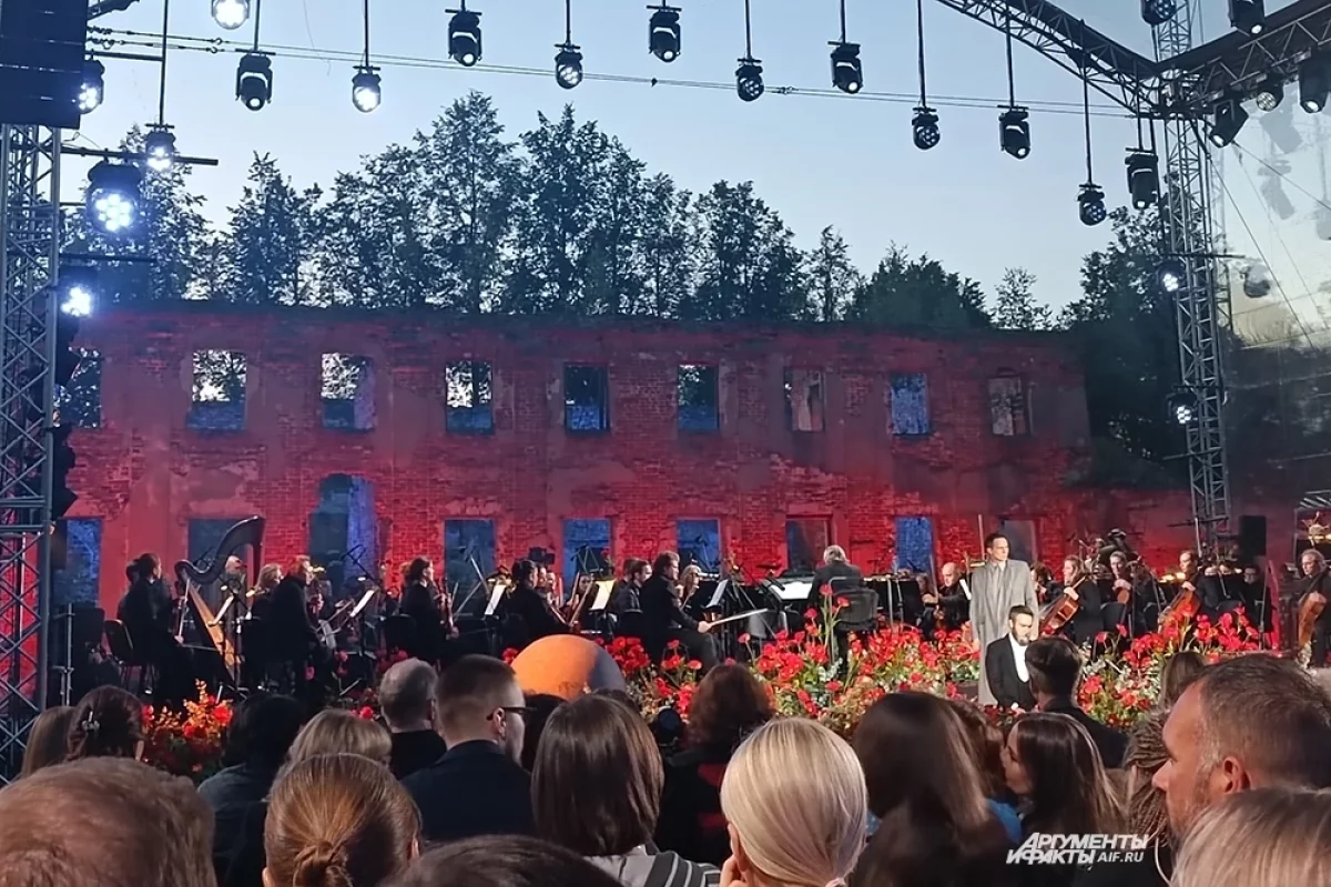 Не только на тракторе. Ради Башмета проводят дороги и строят отели