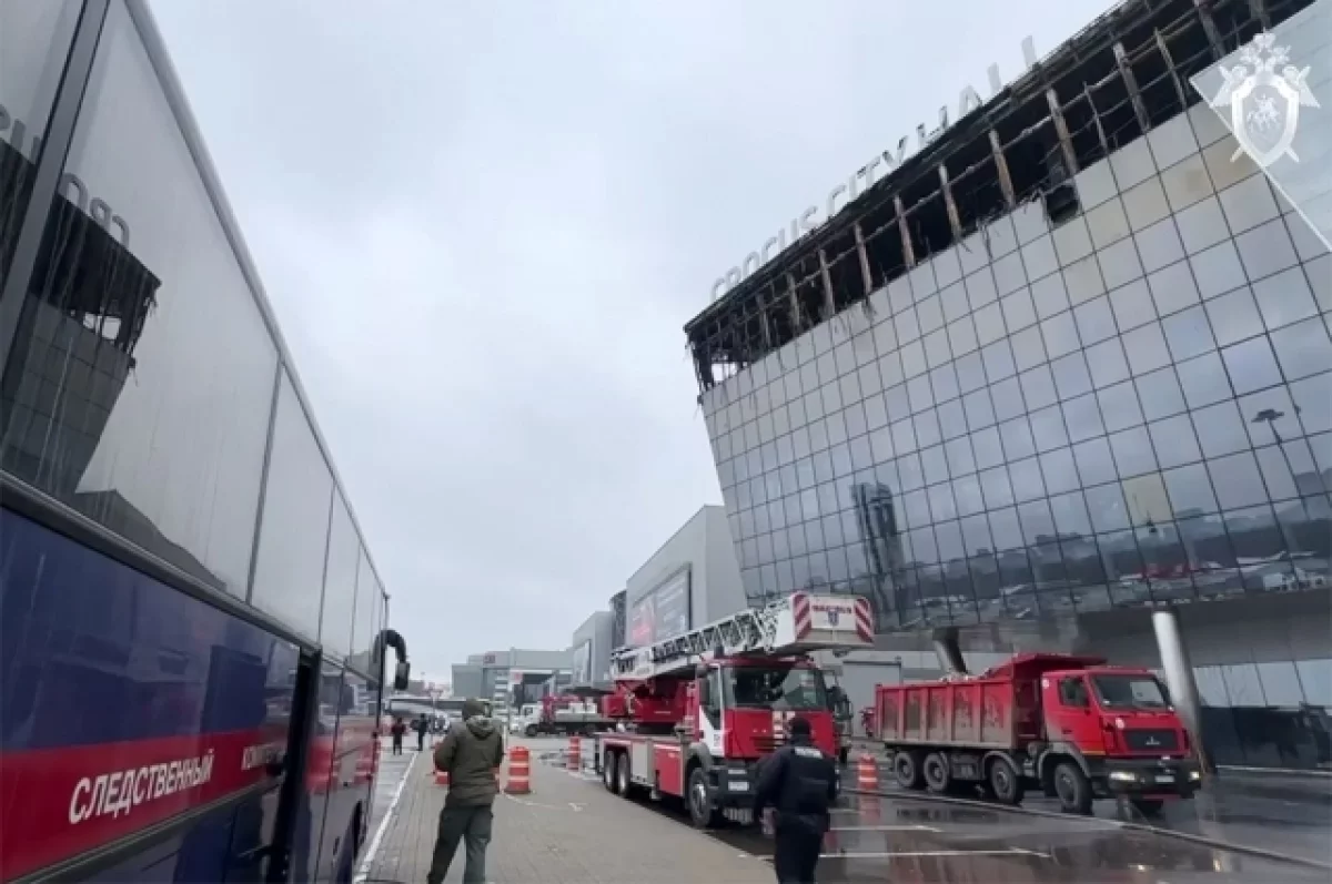 Участники теракта в "Крокусе" обучались обращению с оружием с помощью видеоролика